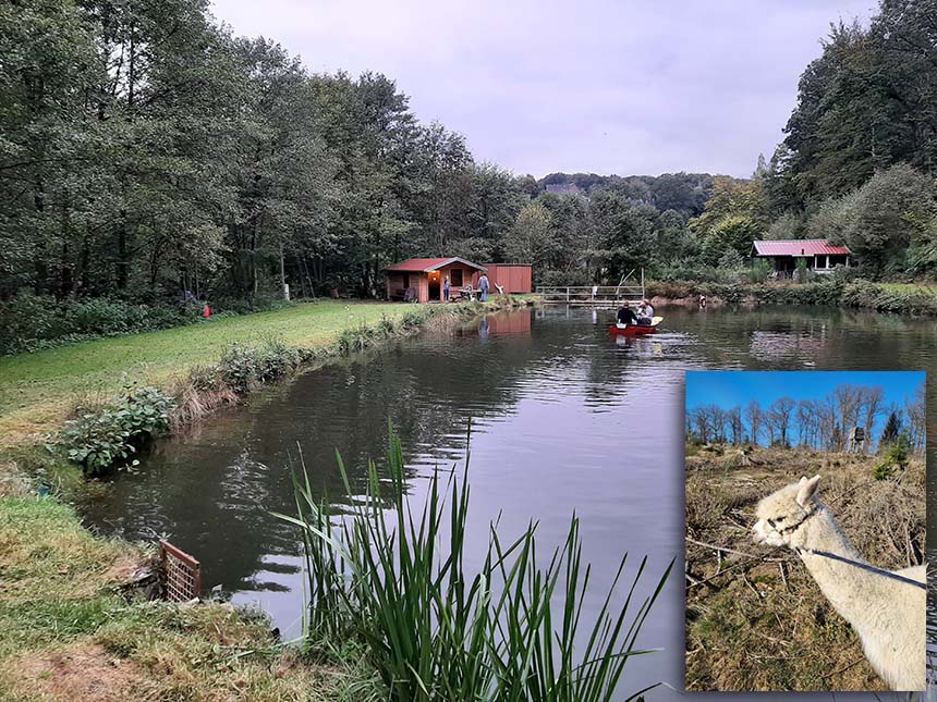 Titelbild zeigt den Römer Weiher mit Hütte in Rom bei Morsbach und das Foto eines Alpaka